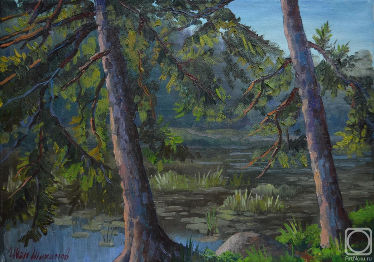 ������� ������ �� ������. ������� ����. ����� �� ���� ������