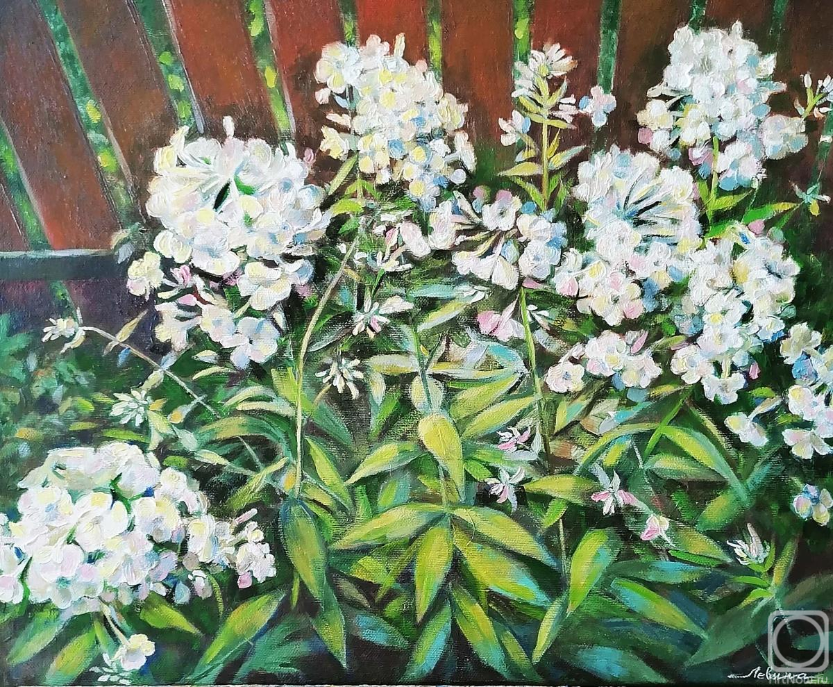 ������� ������ �� ������. ������ ������. ����� ������