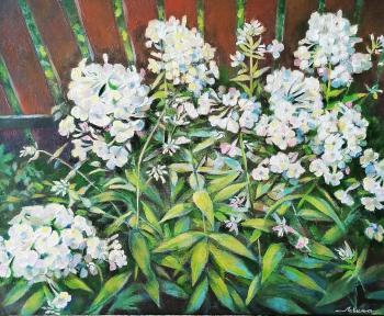 ����� ������. ������ ������