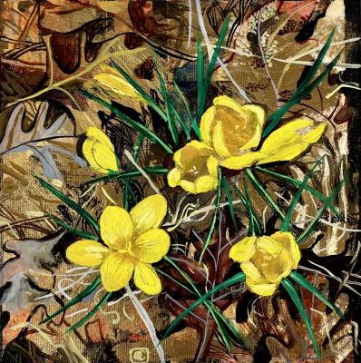 ����������. ������� �����