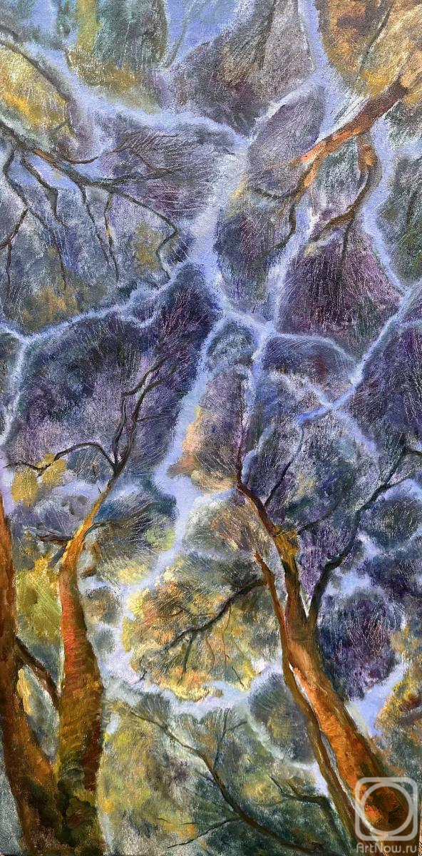 ������� ������ �� ������. �������� ���������. �����