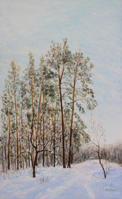 Perm. Chernyaevsky forest in winter