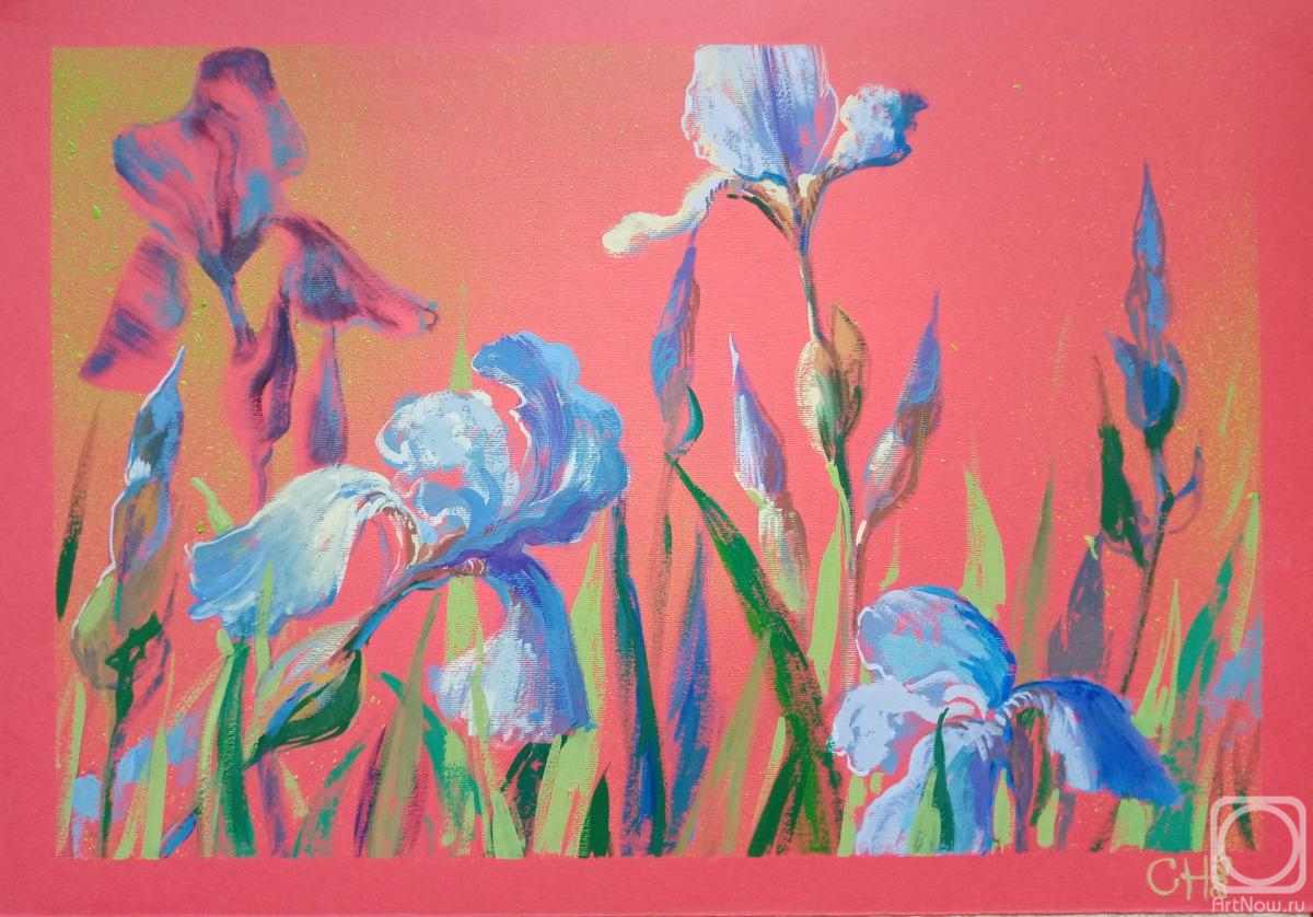 �������. ���������� �������. ����� �� �������