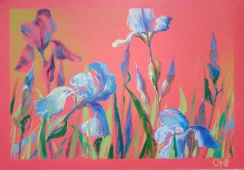 ����� �� �������