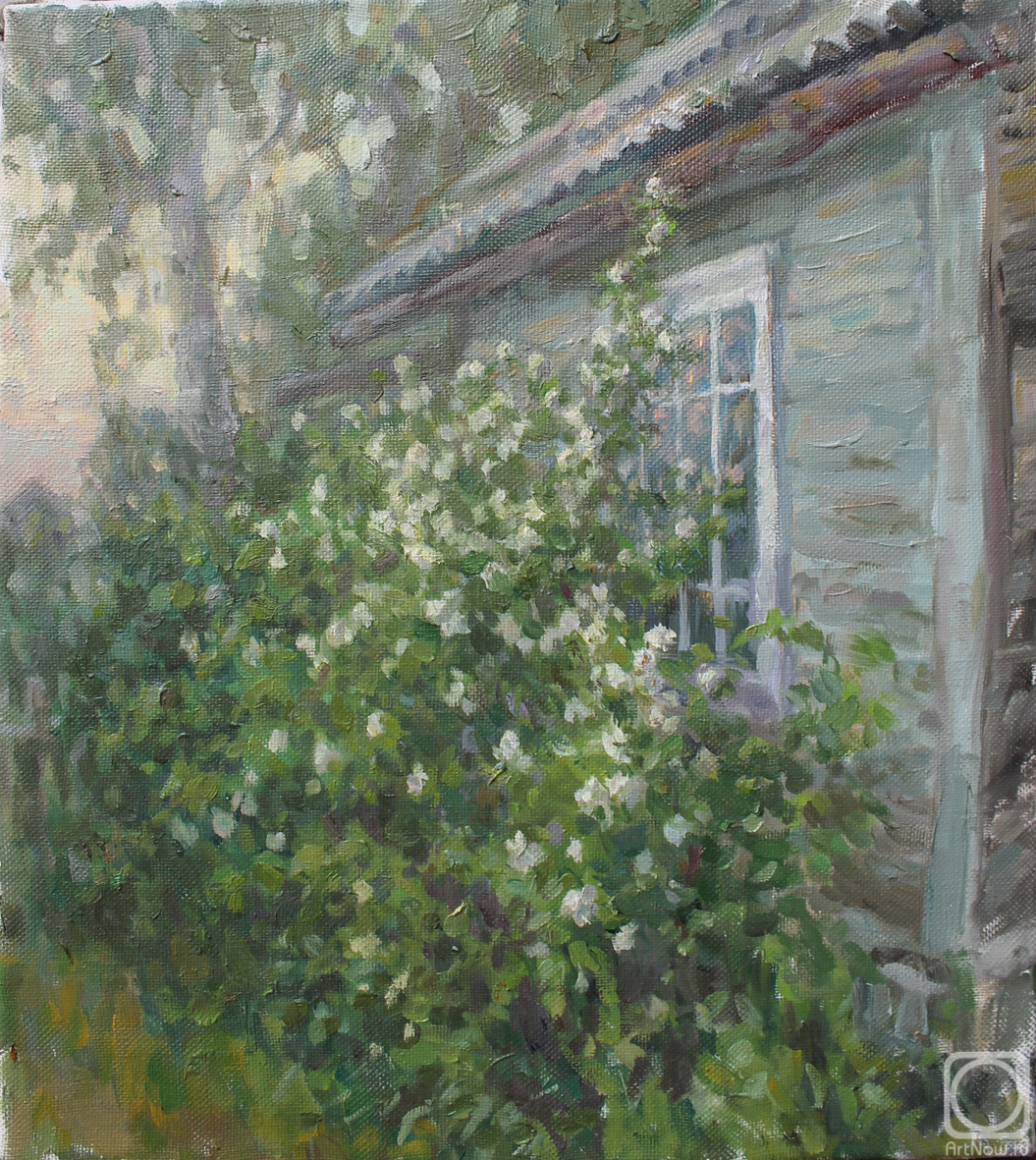 ������� ������ �� ������. �������� �����. ����� � ����