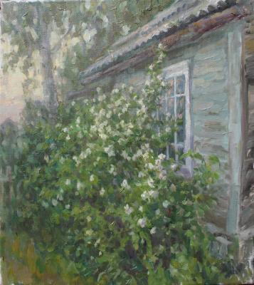 Untitled. Belousov Denis