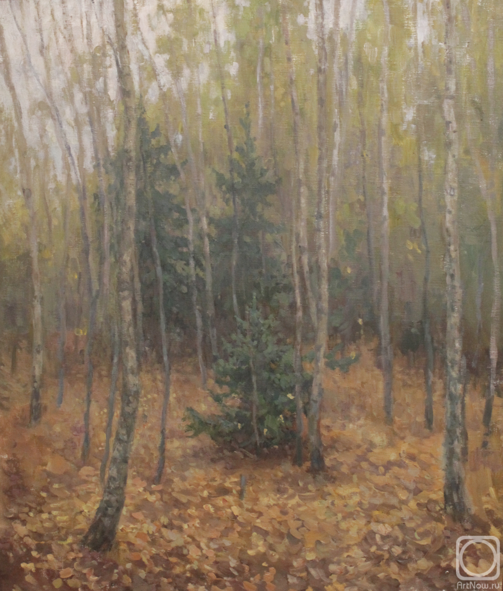 ������� ������ �� ������. �������� �����. ������ �������