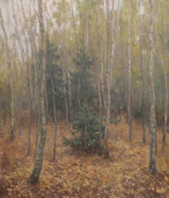 ������ �������. �������� �����