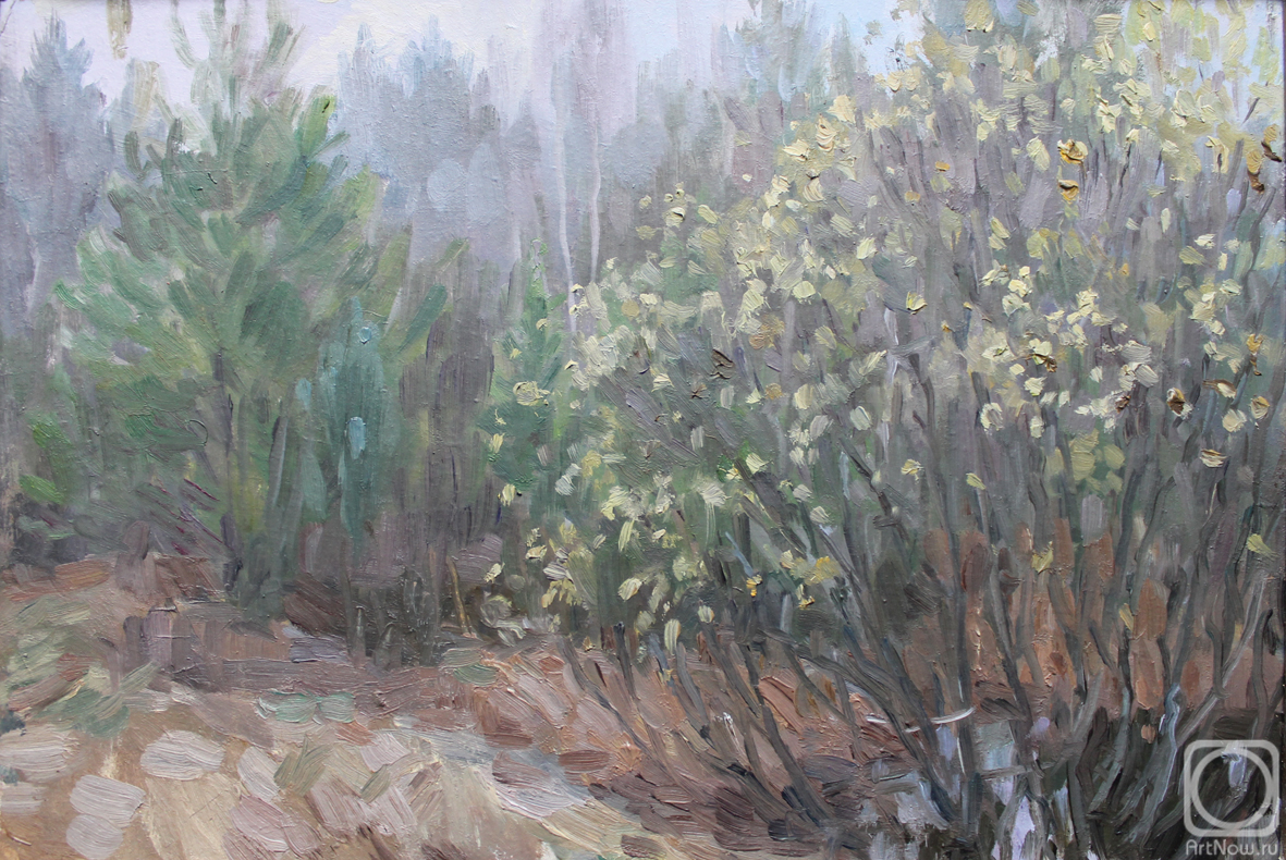 �������. �������� �����. ����� �������