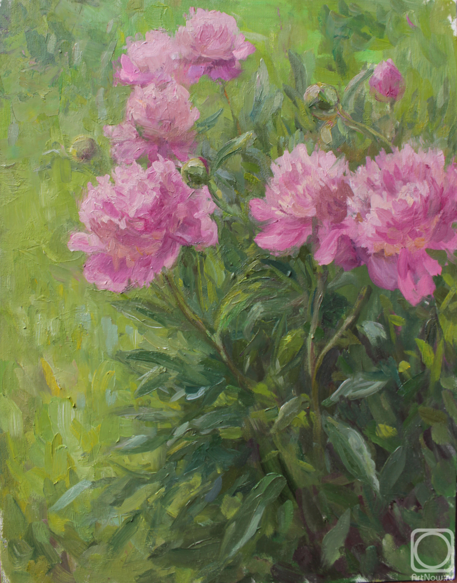 ������� ������ �� ������. �������� �����. �����