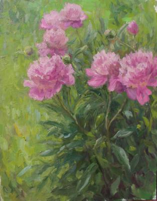 ����� (���� ������� ������). �������� �����