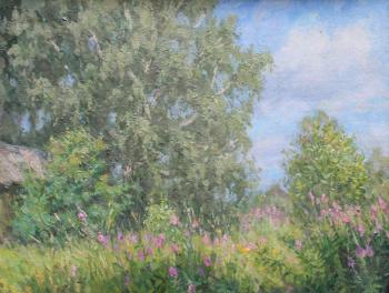 ������� �������� ����