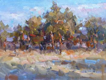 ������� ��������� ����