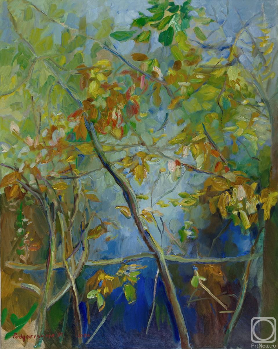 Podgaevskaya Marina. Forest Lake