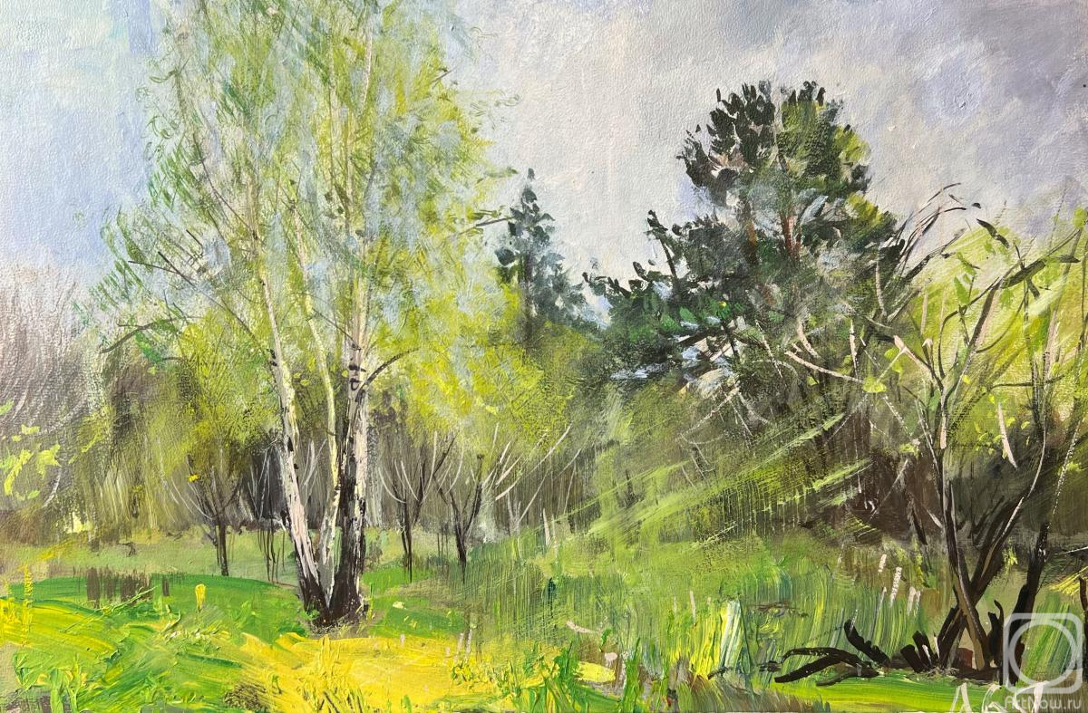 �������. �������� ������. �������� ���