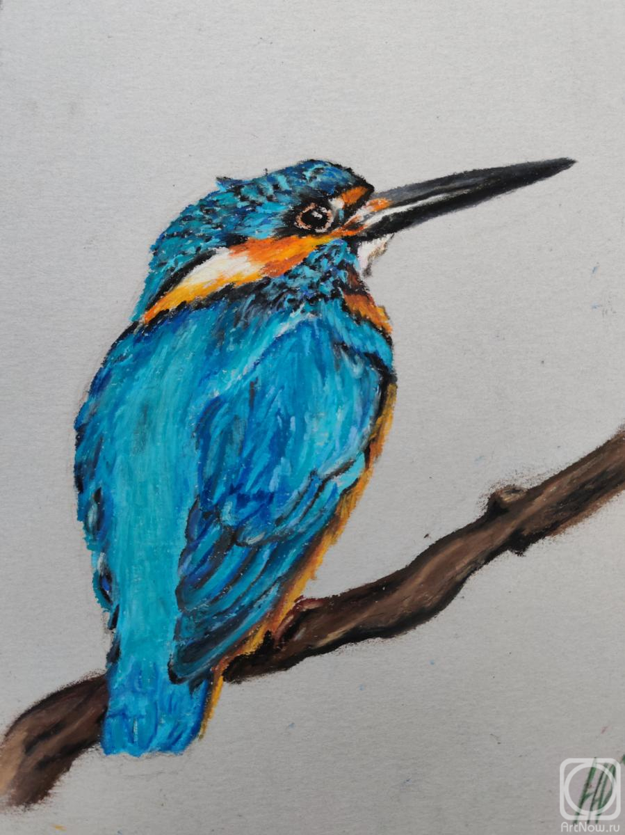 �������. �������� ���������. ���������. �����