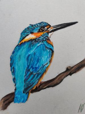 ������� ����������. ������