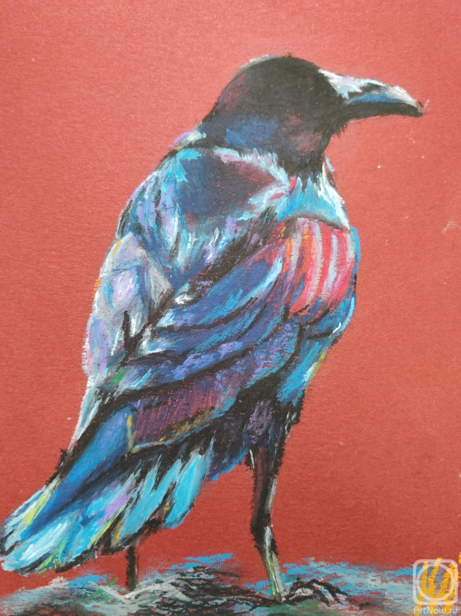 �������. �������� ���������. �����. �����