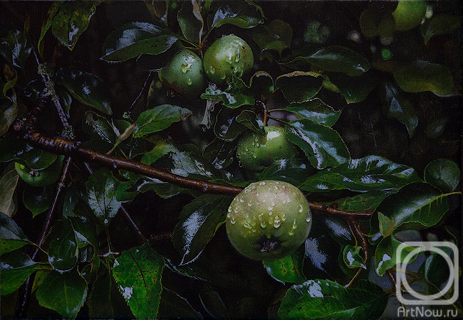 ������� ������ �� ������. ������ ϸ��. �������� �����