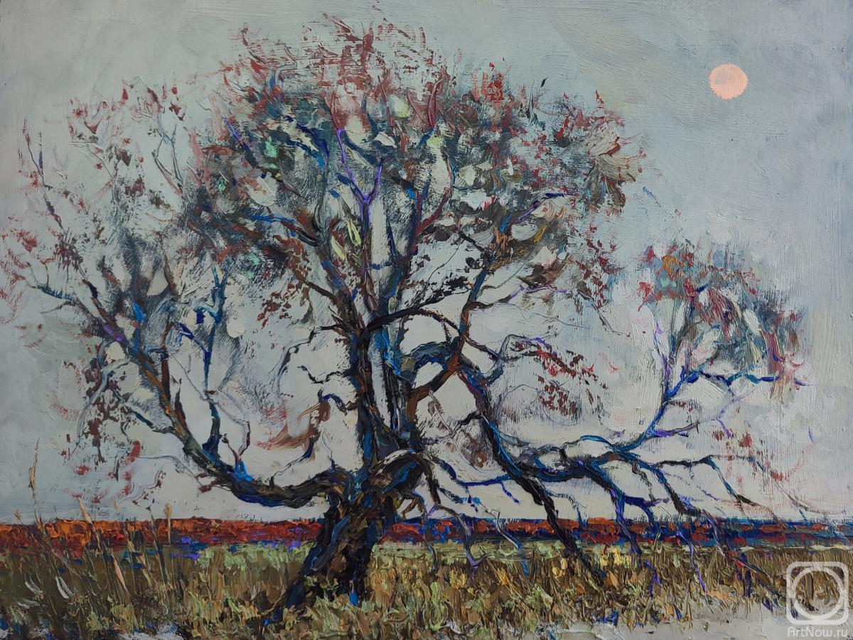 �������. ���������� �������. ������ ���