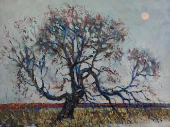 ������ ���. ���������� �������