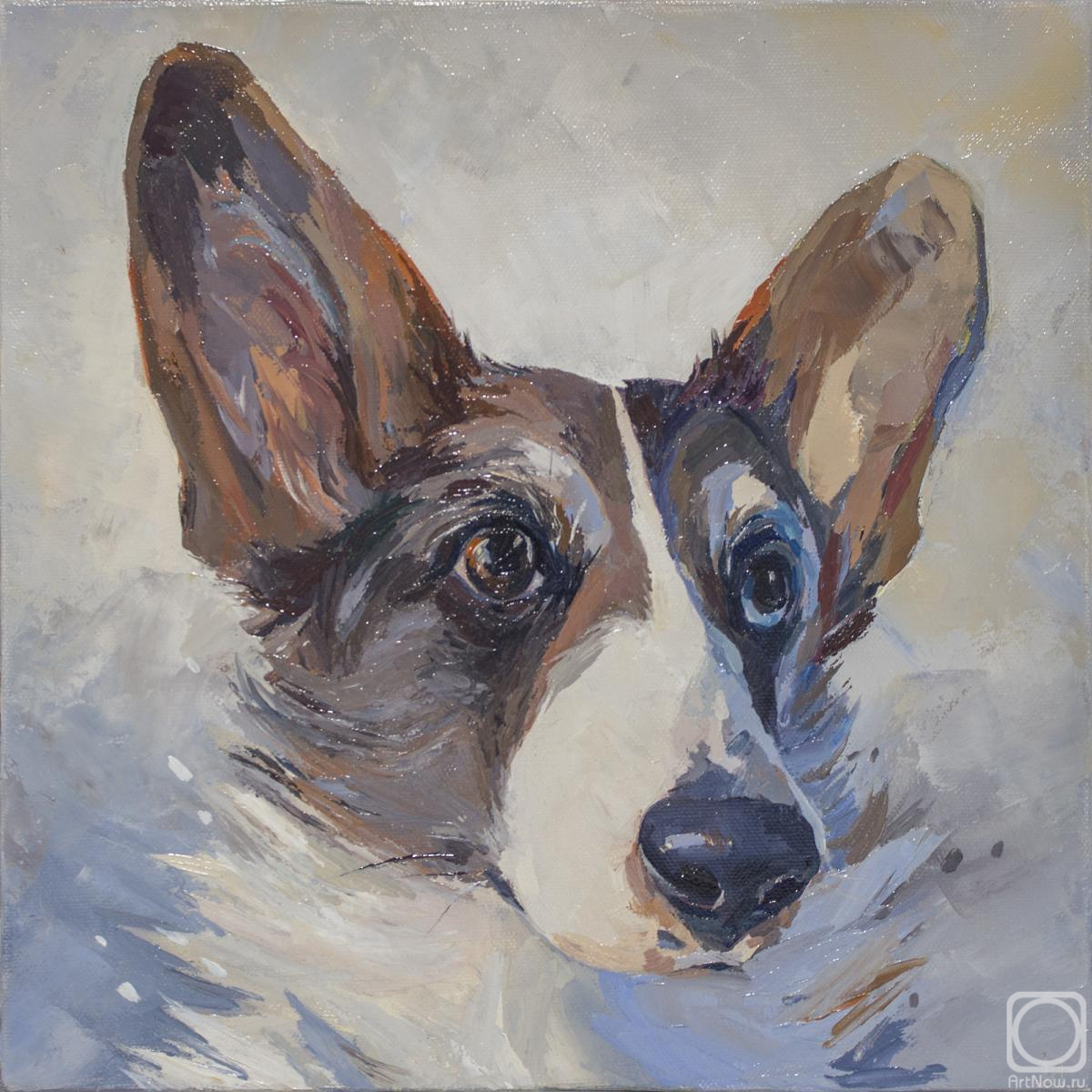 Devyatova Irina. Arseniy. Corgi