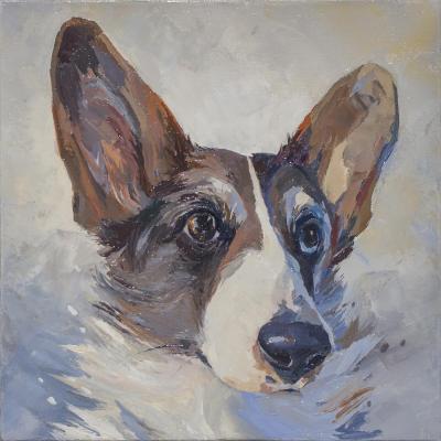 Arseniy. Corgi. Devyatova Irina