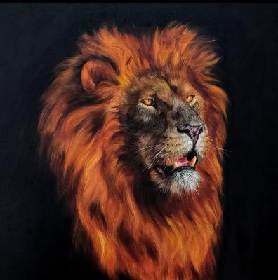 Fire-maned lion
