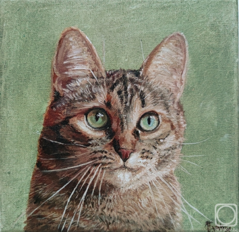 ������� ������ �� ������. ������ �������. ������� ���� �� �����, ������� �������