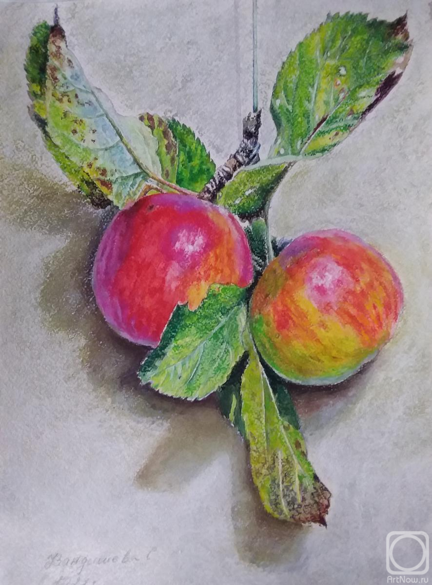 �������. ��������� ��������. ������� �� ���������