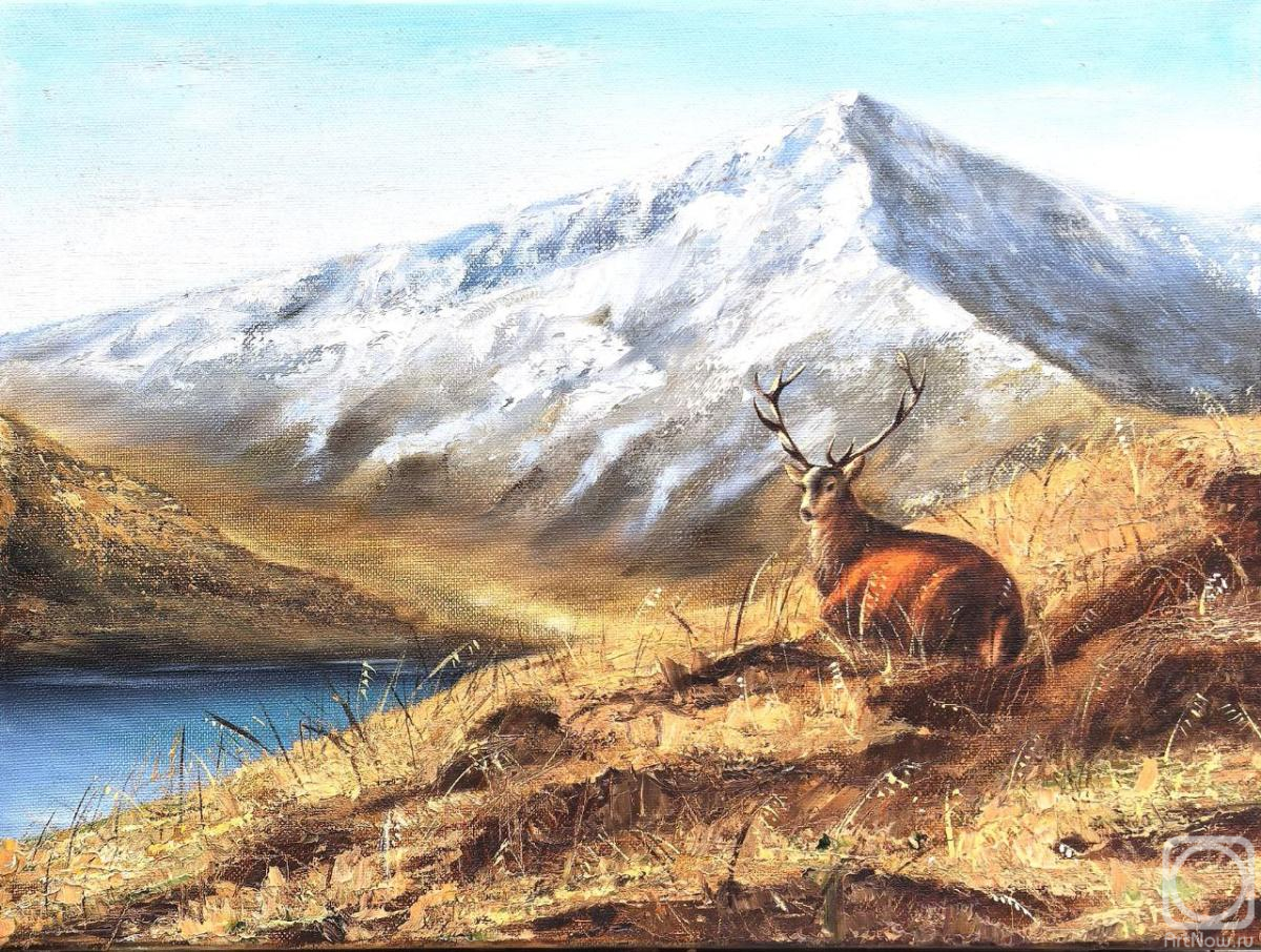 Dankova Alyona. Mountain deer
