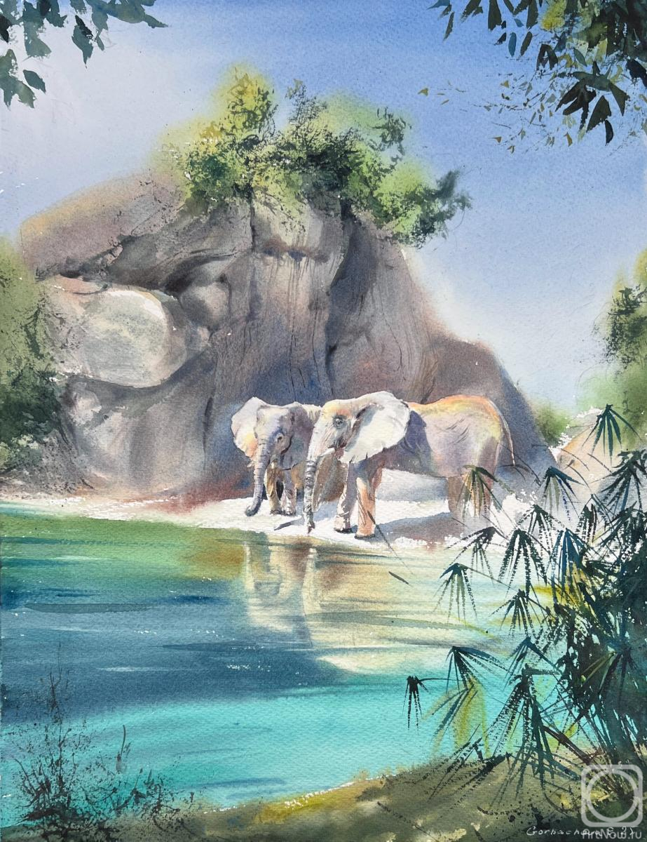 �������. ��������� �������. ����� � �����