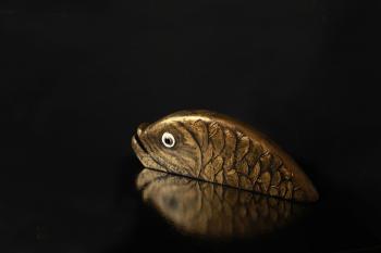 ������� ���� ������ ����� (�����). �������� ������