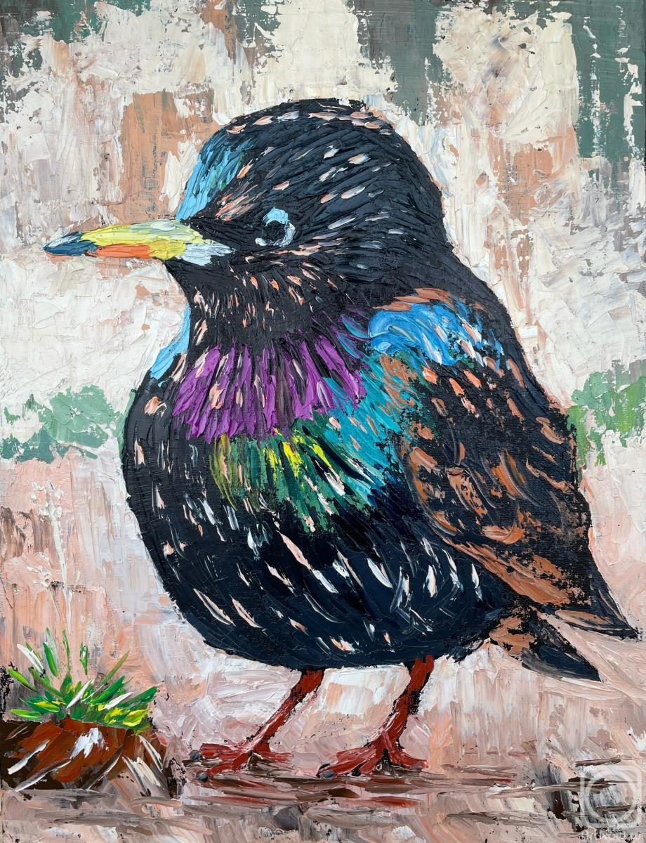 ������� ������ �� ������. �������� ���������. ������� ������� ������, �����, ��������� �������