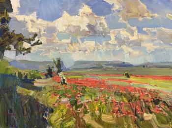 ���� � ����������. �������� �������