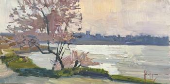 �������� ����� ������ �������. �������� �������