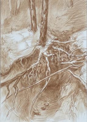 ����� ������. ������ ���������