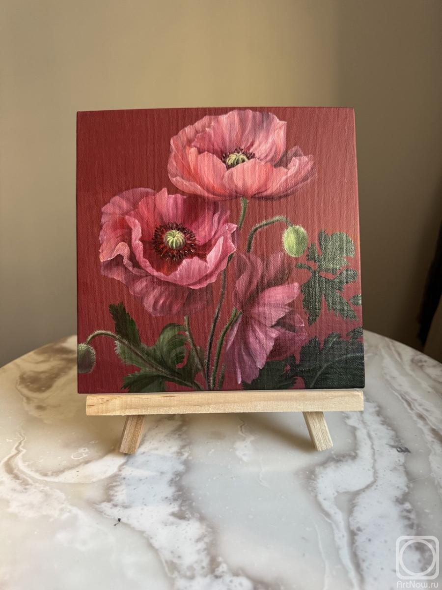 ������� ������ �� ������. ������� �������. ��������� ���������