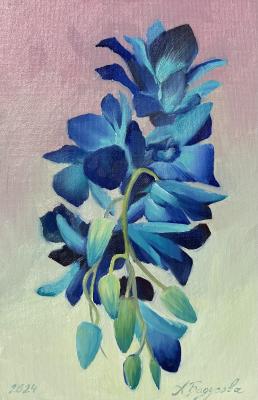 ������� ������ ��������