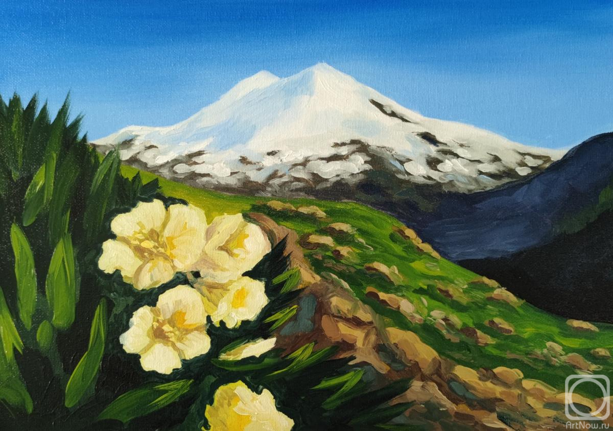 ������� ������ �� ������. �������� ����. ������� ��������