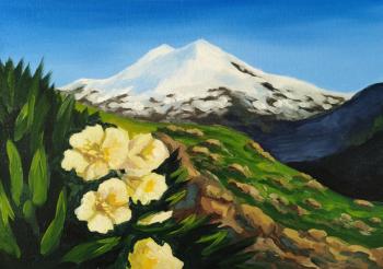 Untitled. Solomaha Anna