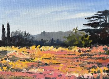 � ���� ��������� ���������. �������� �����