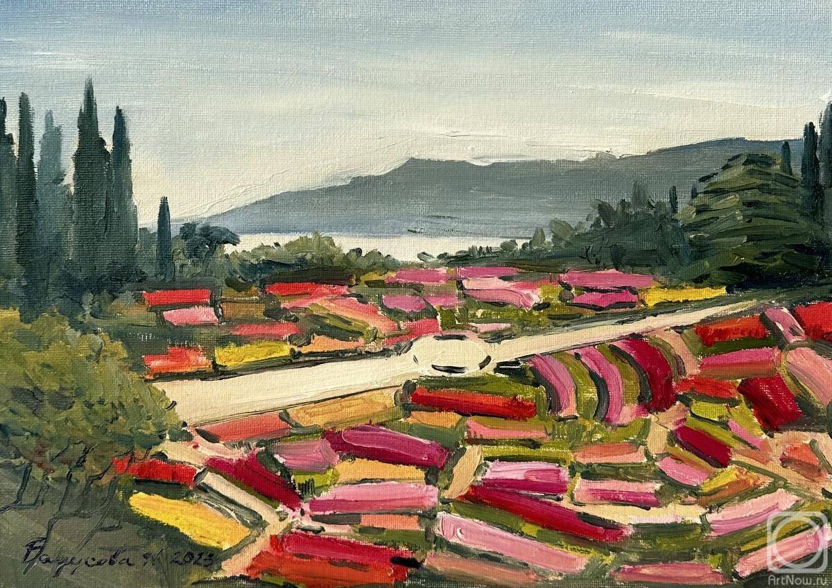 �������. �������� �����. �������� ������ ���������