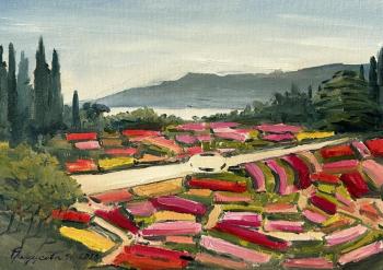 �������� ������ ��������� (���). �������� �����