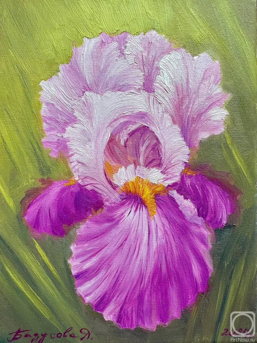 ������� ������ �� ������. �������� �����. ����