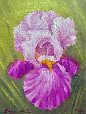 ������� �����