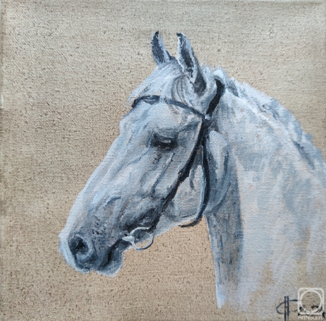 ������� ������ �� ������. ������ �������. ����. ��������� �����