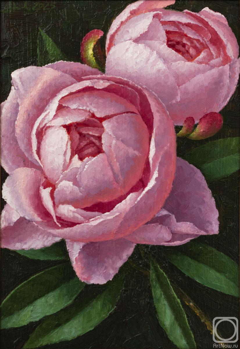 ������� ������ �� ������. �������� ���������. �����