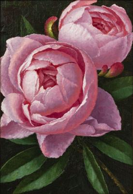 Untitled. Filippov Aleksandr