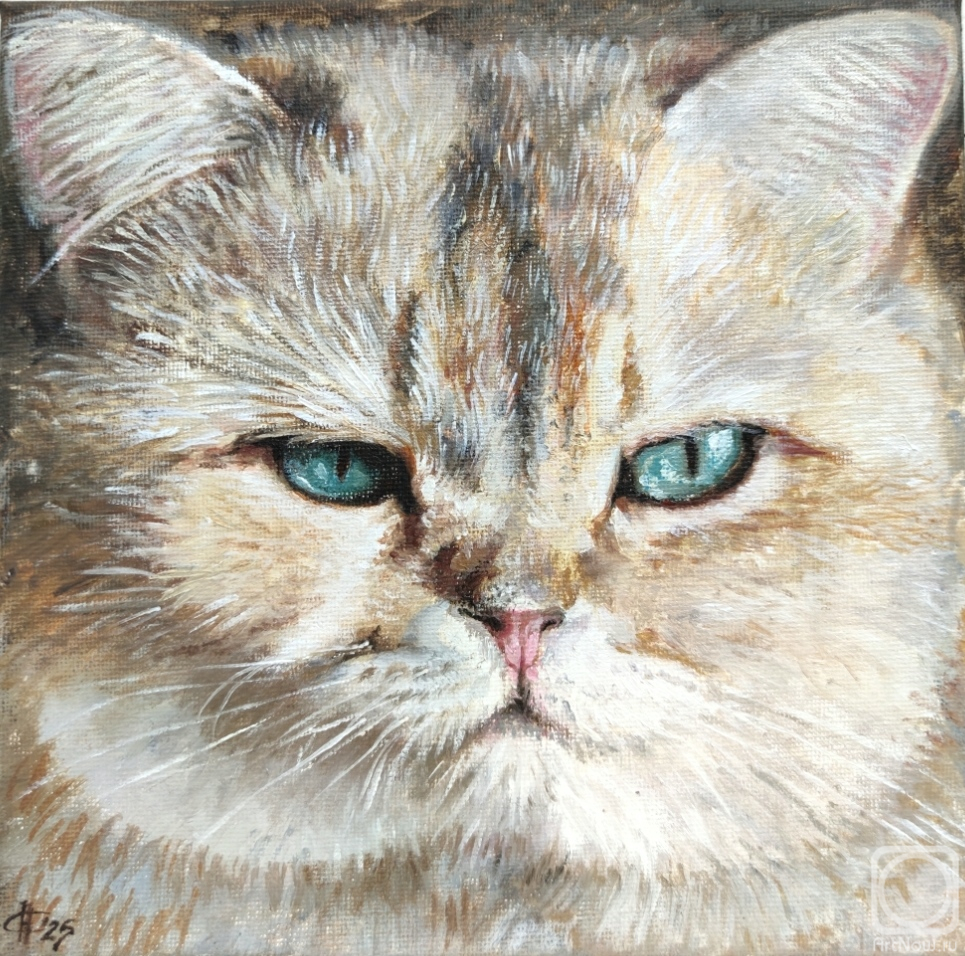 ������� ������ �� ������. ������ �������. ��� ����. ������� �����